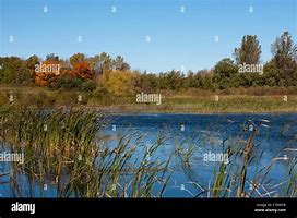 caledon